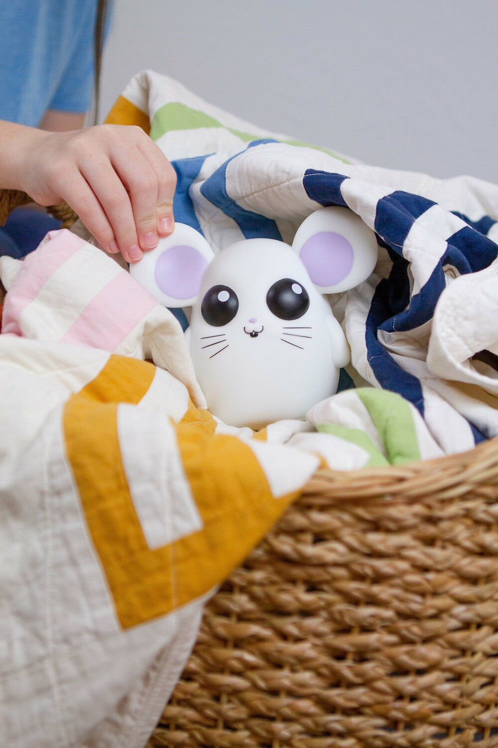 Where's Squeaky? Hide-and-Seek Game