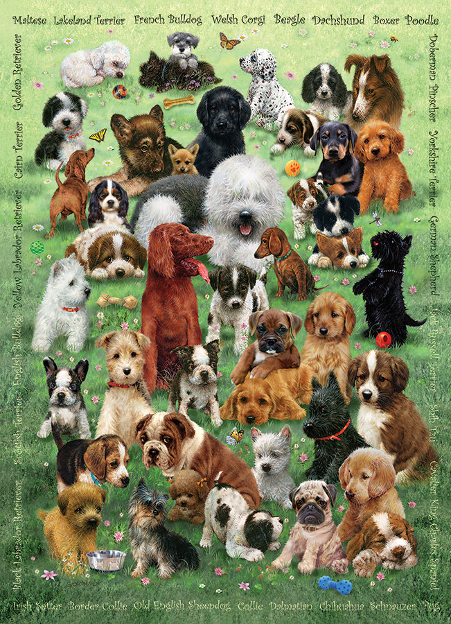 Puppy Love puzzle (350 pc)