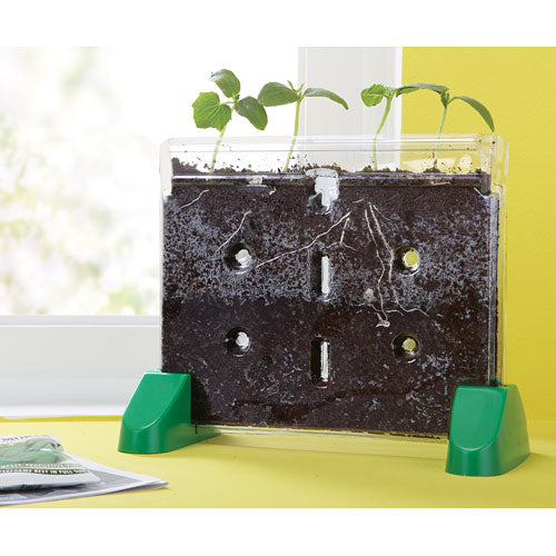 Sprout and Grow™ Window