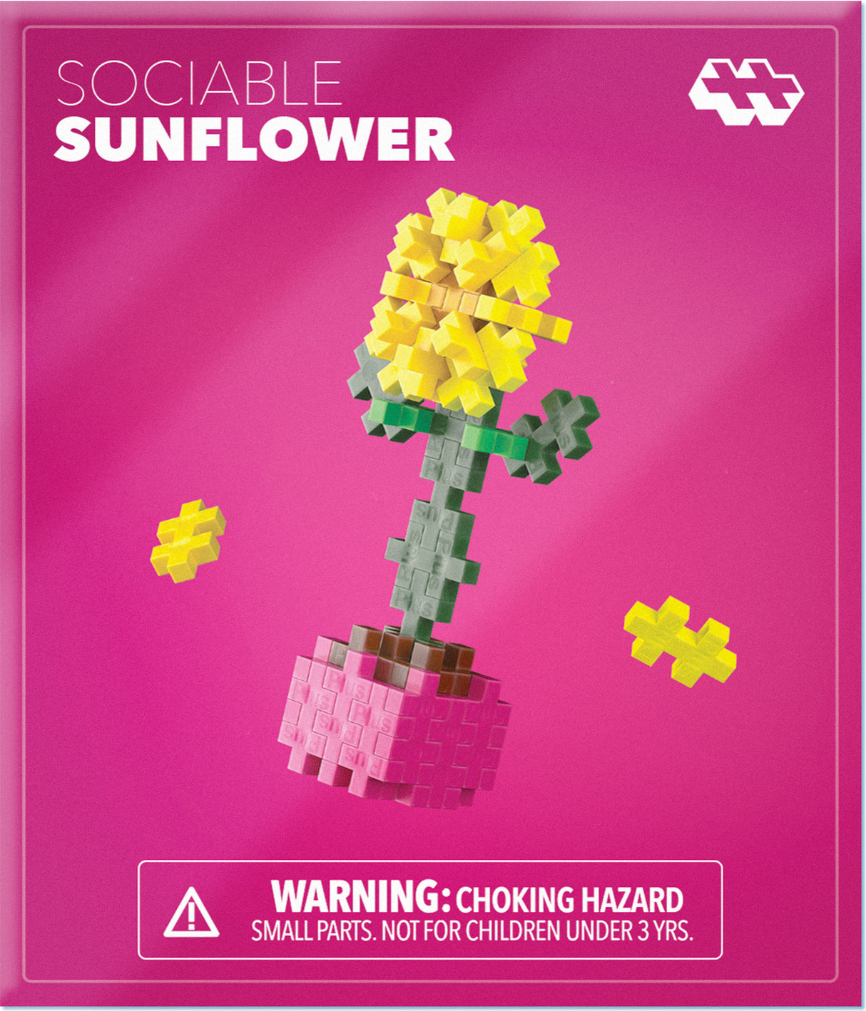 Plant Pack - Sociable Sunflower