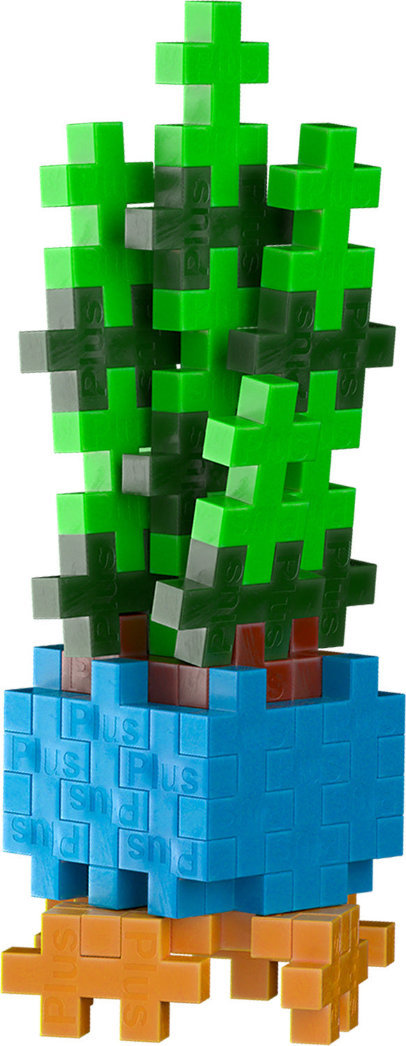 Plant Pack - Sassy Snake Plant