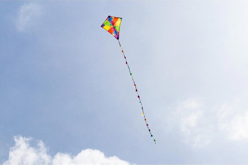 20" Ecoline Eddy Galaxy Kite