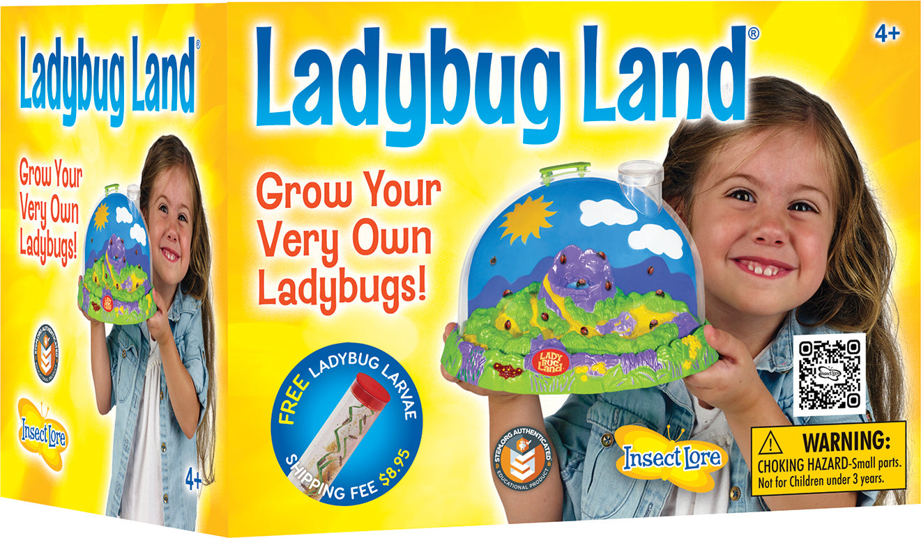Ladybug Land with Voucher