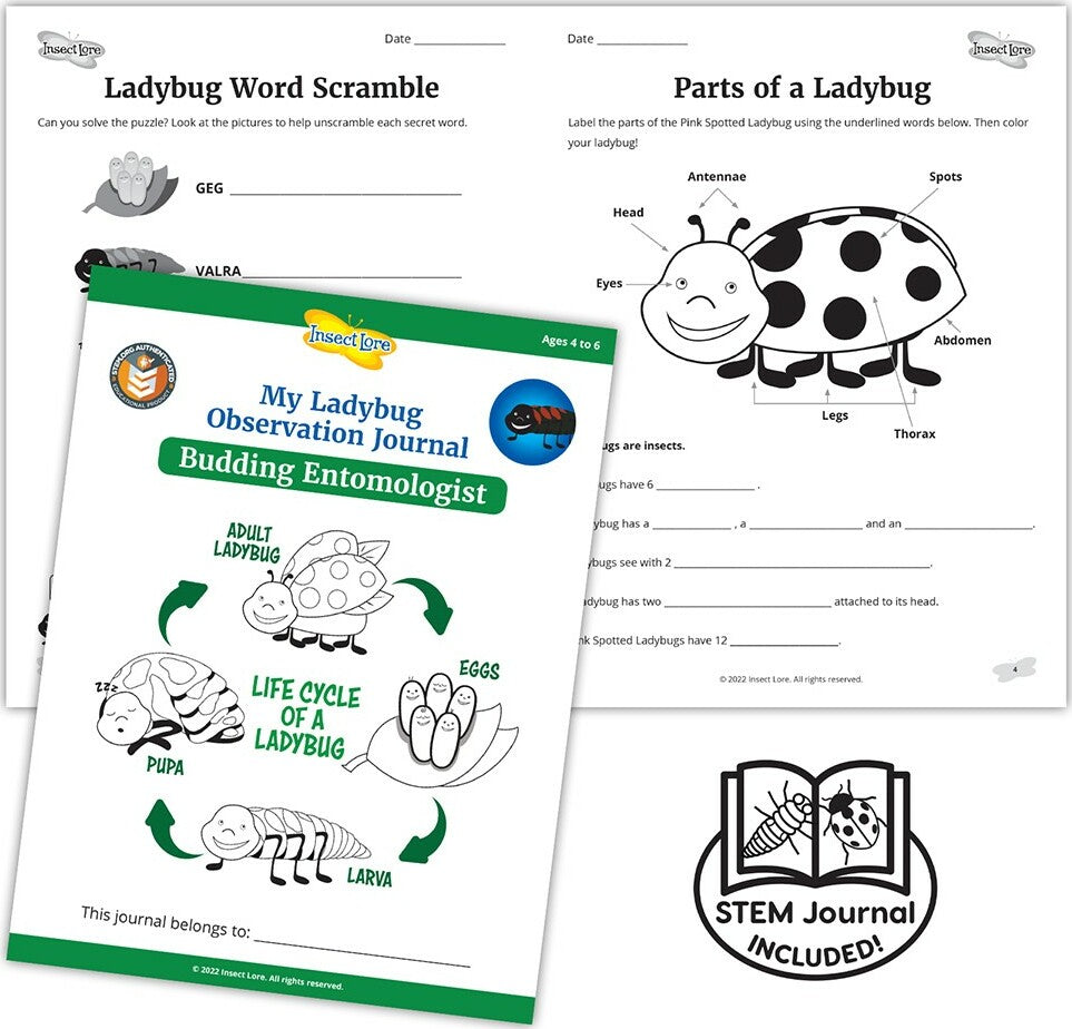 Ladybug Land with Voucher