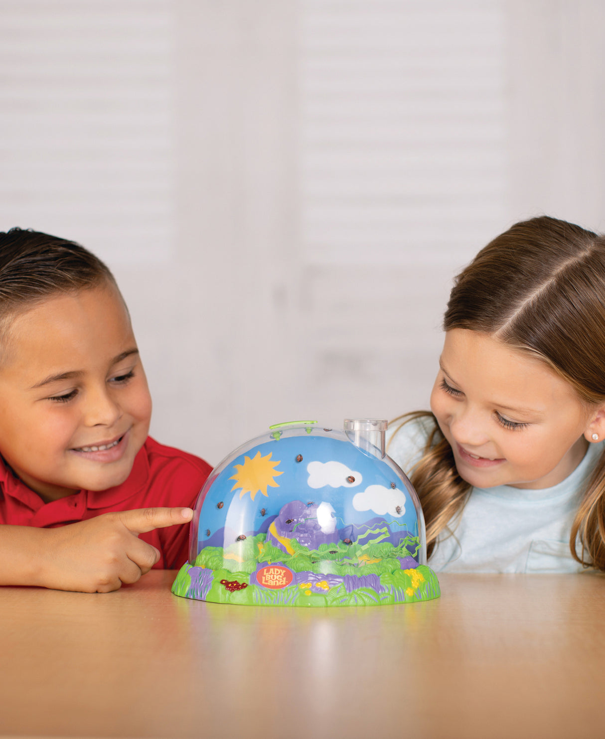 Ladybug Land with Voucher