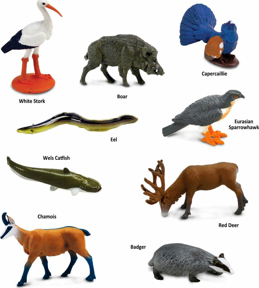European Animals