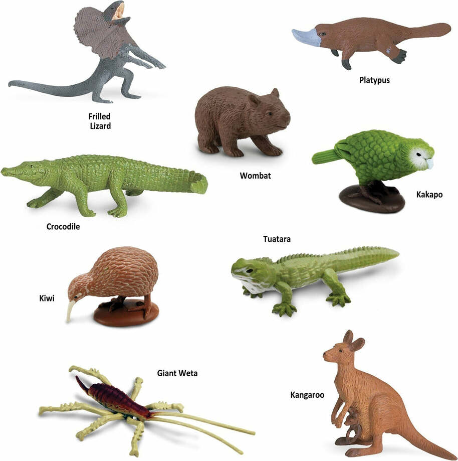 Australian Continent