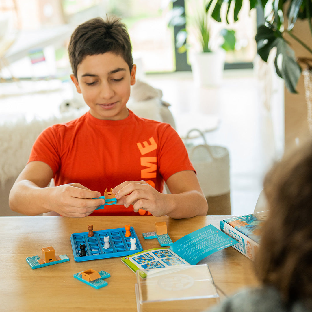 Cats & Boxes Puzzle Game