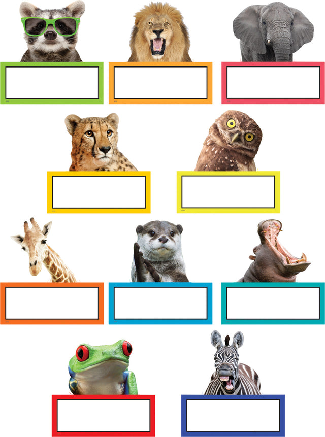 Go Wild Animals Accents