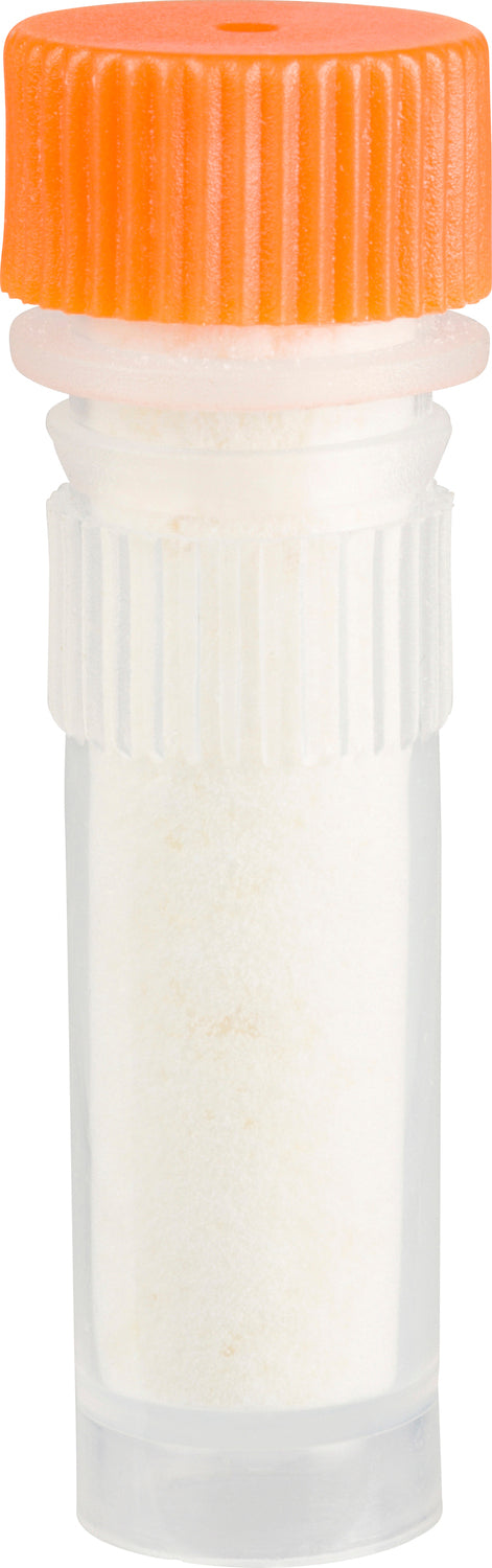 Beetle & Bee Bird Call FSC