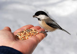 Adventure Station "Wild Birding Feeding Fun"