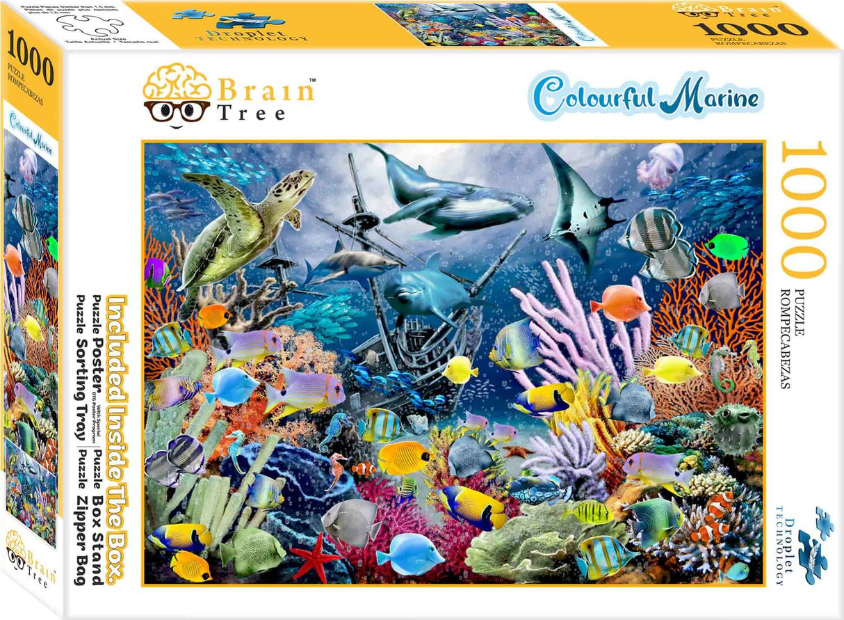 Colorful Marine (1000 pc Puzzle)