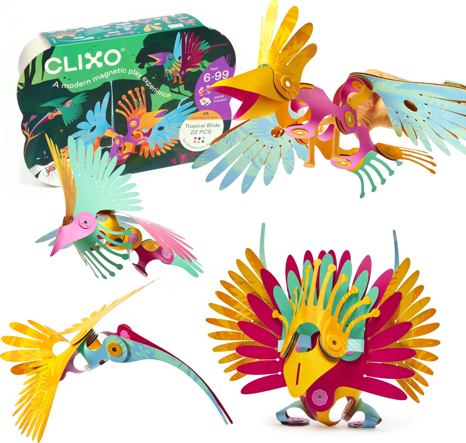 Clixo Tropical Birds Pack – School Crossing
