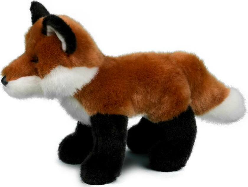 Bushy Red Fox