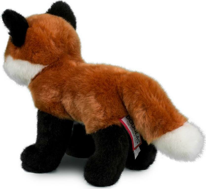 Bushy Red Fox
