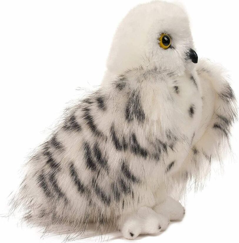 Wizard Snowy Owl