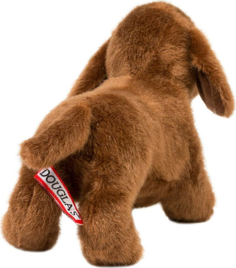 Dilly Dachshund