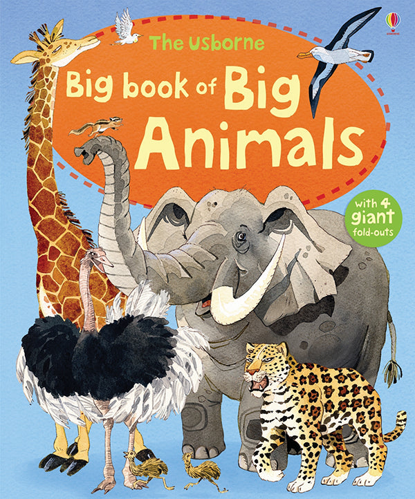 Big Book Of Big Animals (Ir)