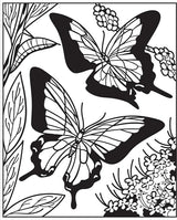 Magic Painting Book, Butterflies