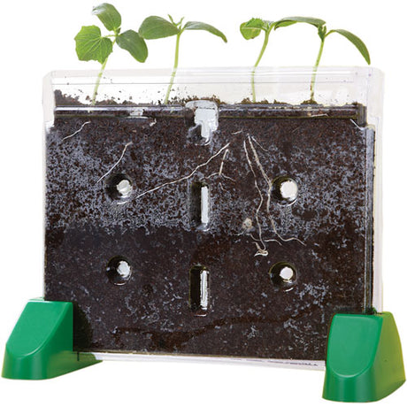 Sprout and Grow™ Window