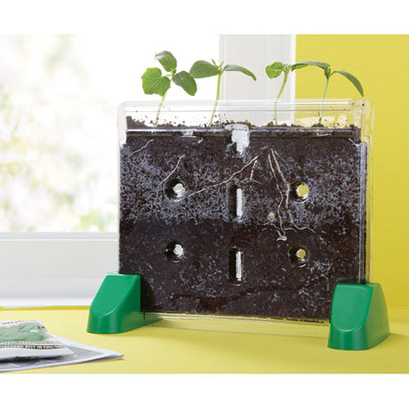 Sprout and Grow™ Window