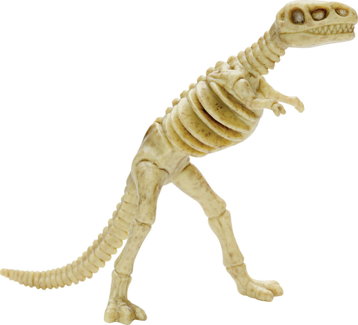 Create with Clay Dinosaurs