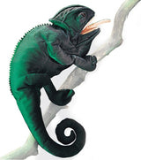 Chameleon Hand Puppet