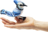 Mini Blue Jay