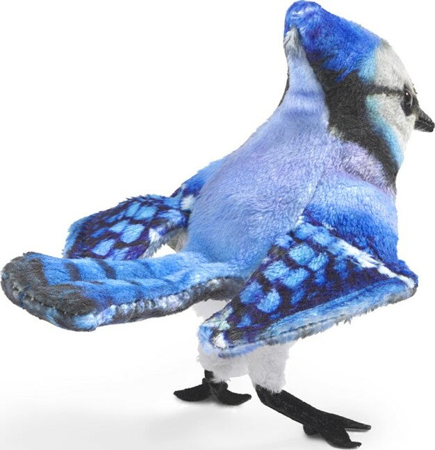 Mini Blue Jay