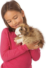 Guinea Pig