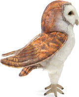 Barn Owl