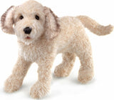 Labradoodle