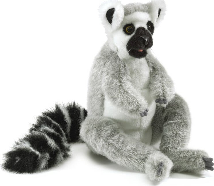 Lemur, Ring-Tailed