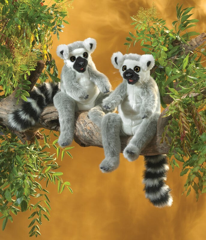 Lemur, Ring-Tailed