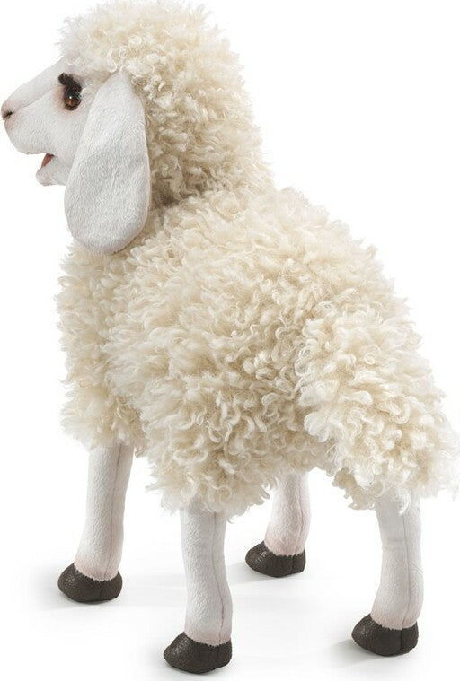 Wooly Sheep