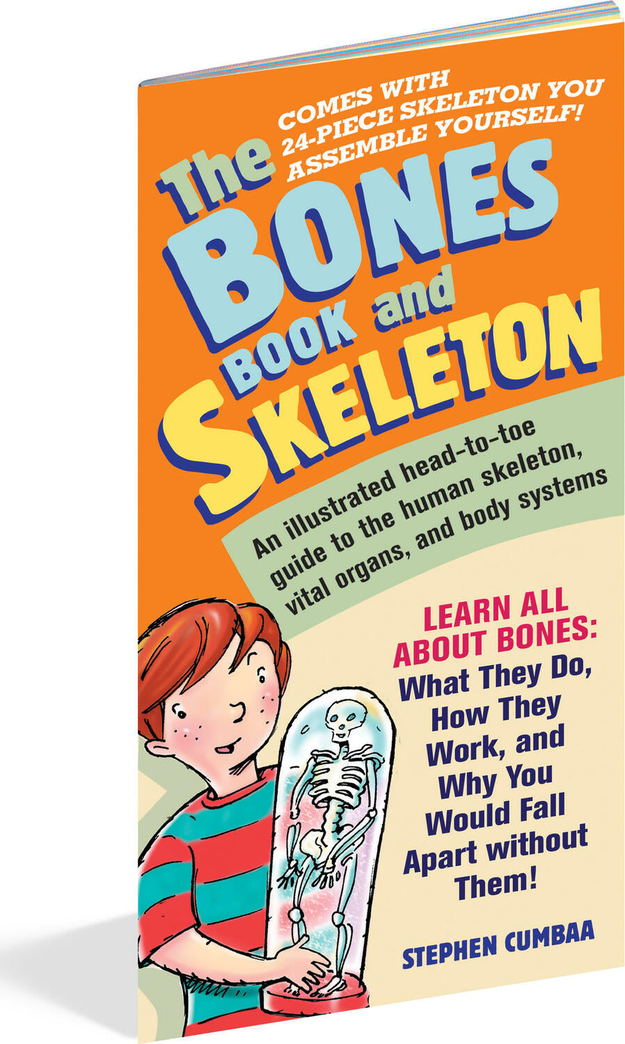 The Bones Book and Skeleton