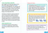 Everything You Need to Ace World History in One Big Fat Notebook, 2nd  Edition: The Complete Middle School Study Guide