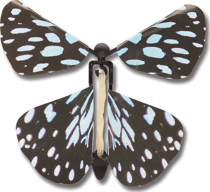 Wind up Australian Butterflies