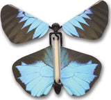 Wind up Australian Butterflies