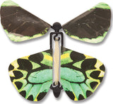 Wind up Australian Butterflies