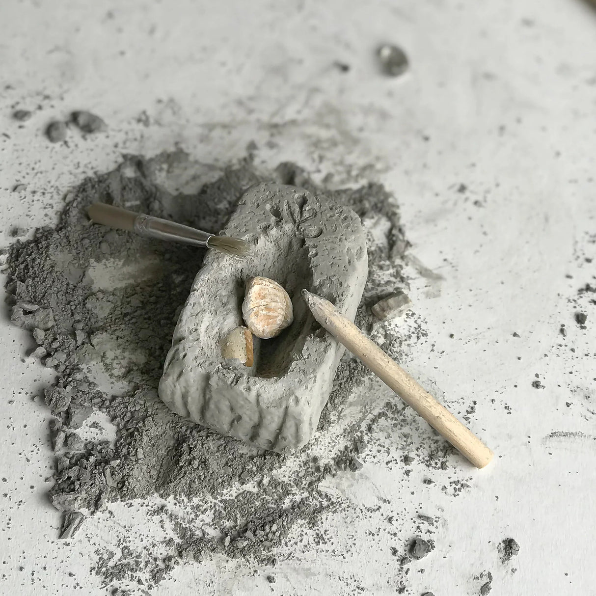 Fossil Dig (assorted)