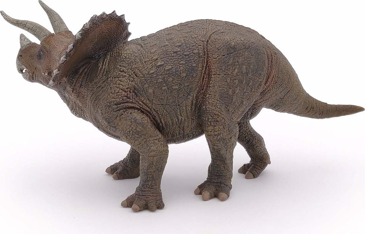 Triceratops