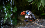 Voices of Nature, Red-Billed Toucan
