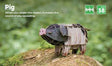 Voices of Nature, Pig