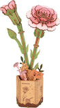ROWOOD Pink Carnation