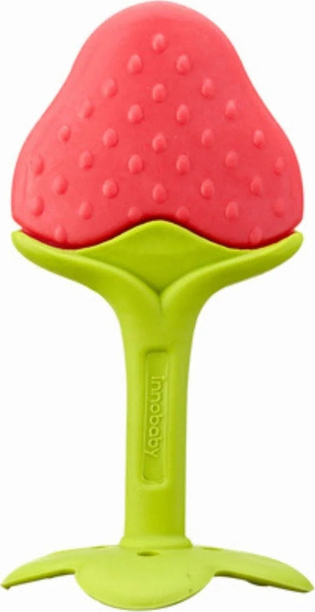 EZ Grip Fruit Teether (Grape)