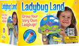 Ladybug Land