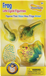 Frog Life Cycle Stages