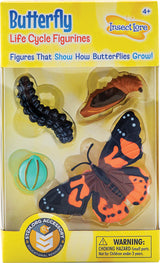 Butterfly Life Cycle Stages