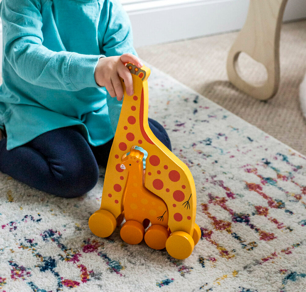 Big & Little Giraffe Push Toy